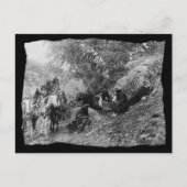  Indiaanse Apache Storytelling Briefkaart (Voorkant)