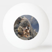 Indiaanse Iconen: Apache Krijgers, Amerikaanse Cav Pingpongbal (Voorkant)