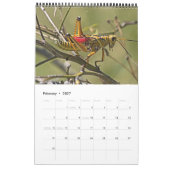 Indiaanse kalender 2026 (Feb 2027)