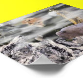 Indiaanse maan poster (Hoek)