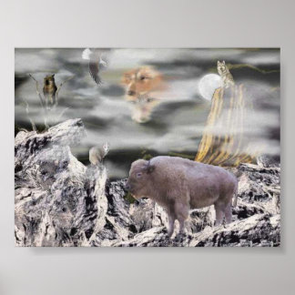 Indiaanse maan poster