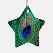 Indiaas blauw Ornament van de Peacock-ster (Rechts)
