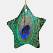 Indiaas blauw Ornament van de Peacock-ster (Links)