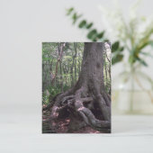 Indiaas Briefkaart van het Forest Artifact Custom (Staand voorkant)