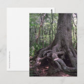 Indiaas Briefkaart van het Forest Artifact Custom (Voorkant / Achterkant)