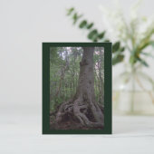 Indiaas Briefkaart van het Forest Artifact Custom (Staand voorkant)