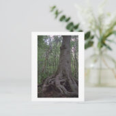 Indiaas Briefkaart van het Forest Artifact Custom  (Staand voorkant)