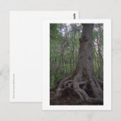 Indiaas Briefkaart van het Forest Artifact Custom  (Voorkant / Achterkant)