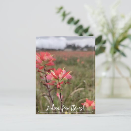 Indiaas Briefkaart voor penseel penseel (Staand voorkant)