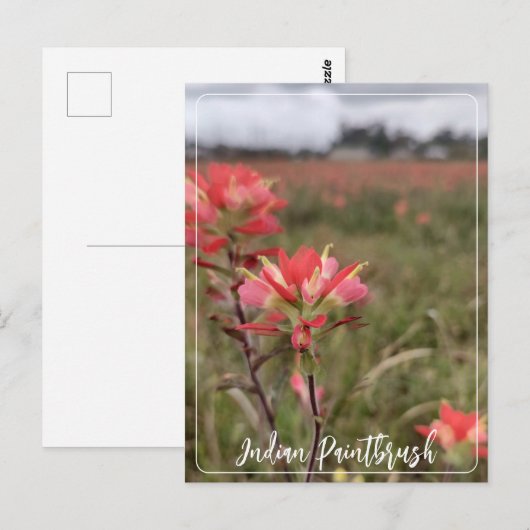 Indiaas Briefkaart voor penseel penseel (Voorkant / Achterkant)