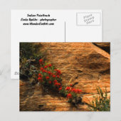 Indiaas Briefkaart voor penseel penseel (Voorkant / Achterkant)