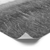 Indiaas Chief on Horseback, 1905. foto Poster (Hoek)