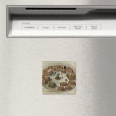 Indiaas dorp Pomeiooc Magneet (Insitu (Vaatwasser))