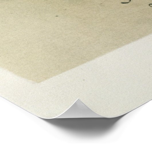 Indiaas dorp Pomeiooc Poster (Hoek)