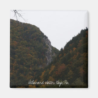 Indiaas hoofd, Delaware Water Gap, Pa. Magneet