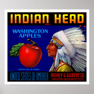 Indiaas hoofd Washington Appels Poster
