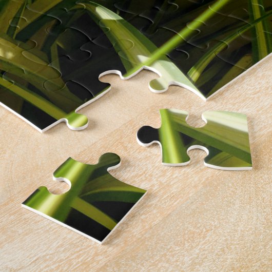 Indiaas lied legpuzzel (Zijkant)