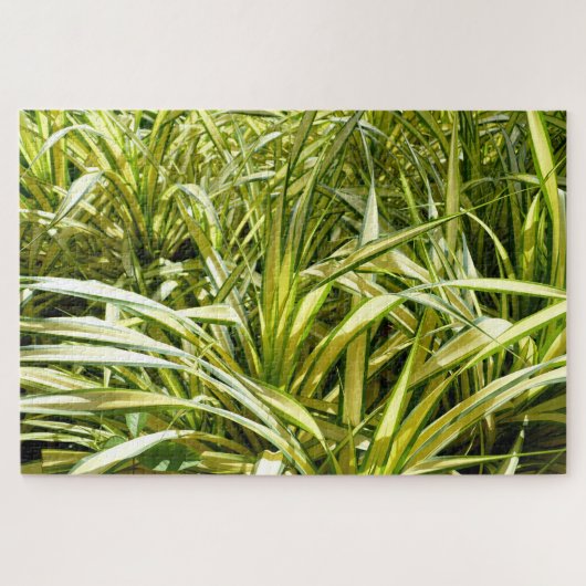 Indiaas lied legpuzzel (Horizontaal)