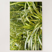 Indiaas lied legpuzzel (Verticaal)