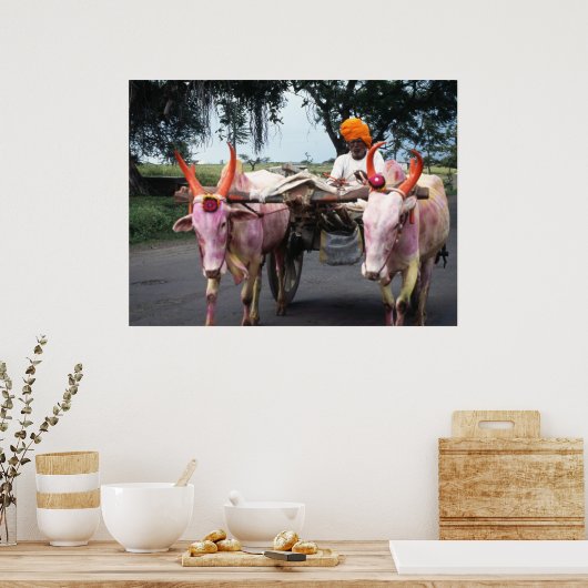 Indiaas Man afdrukken, Poster-waardepapier (matte) Poster (Keuken)