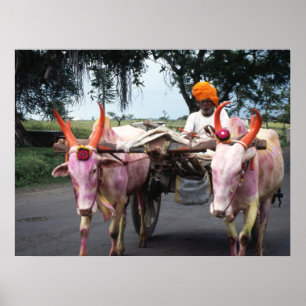 Indiaas Man afdrukken, Poster-waardepapier (matte) Poster