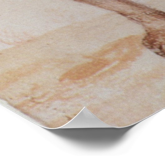 Indiaas Man van Florida Poster (Hoek)