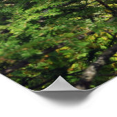 Indiaas meer in de Adirondacks. druk 08 103 Poster (Hoek)