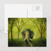 Indiaas olifant verouderend groot zoogdiergroen bo briefkaart (Voorkant / Achterkant)