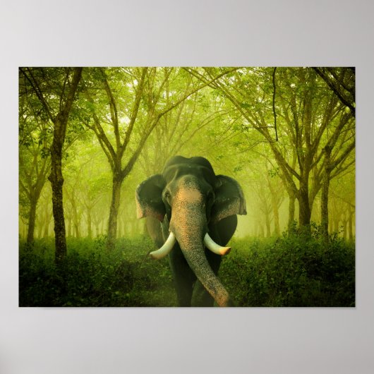 Indiaas olifant verouderend groot zoogdiergroen bo poster (Voorkant)