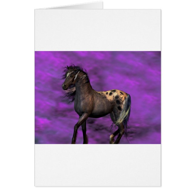 Indiaas paard (Voorkant)