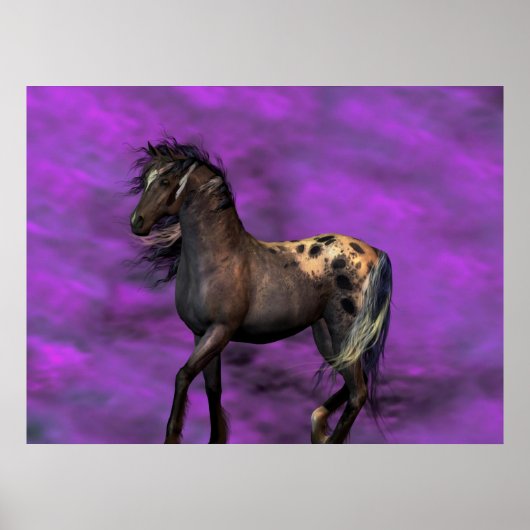 Indiaas paard poster (Voorkant)