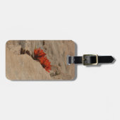 Indiaas penseel in Rocks bij Zion Bagagelabel (Voorkant horizontaal)