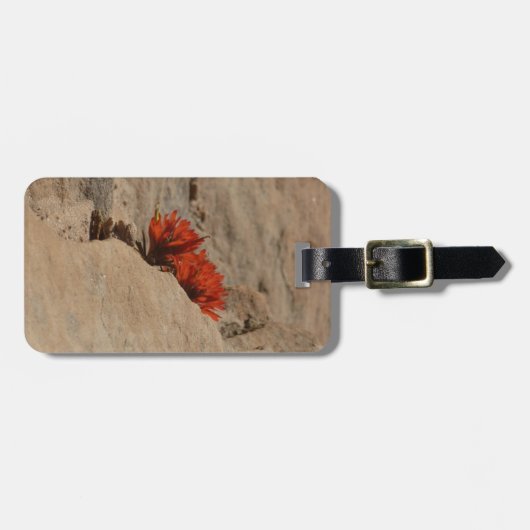 Indiaas penseel in Rocks bij Zion Bagagelabel (Voorkant horizontaal)