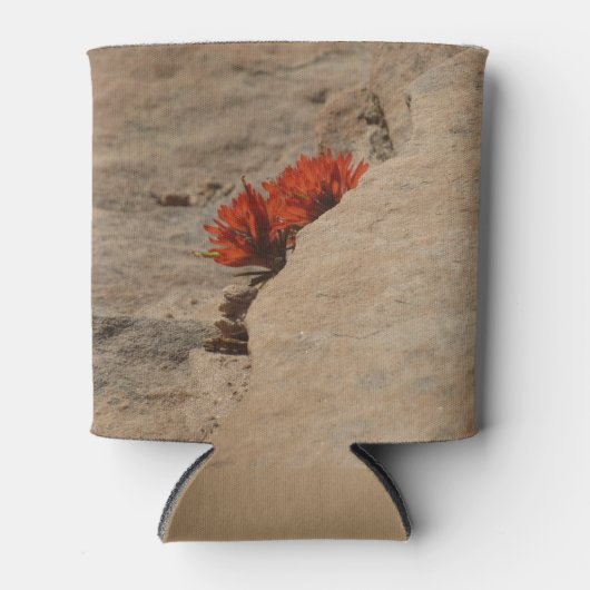 Indiaas penseel in Rocks bij Zion Blikjeskoeler (Voorkant)