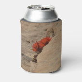 Indiaas penseel in Rocks bij Zion Blikjeskoeler (Blikje Achterkant)