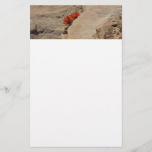 Indiaas penseel in Rocks bij Zion Briefpapier