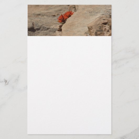 Indiaas penseel in Rocks bij Zion Briefpapier (Voorkant)