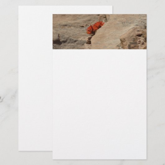 Indiaas penseel in Rocks bij Zion Briefpapier (Voorkant / Achterkant)