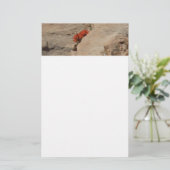 Indiaas penseel in Rocks bij Zion Briefpapier (Staand voorkant)