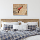 Indiaas penseel in Rocks bij Zion Canvas Afdruk (Insitu (Slaapkamer))