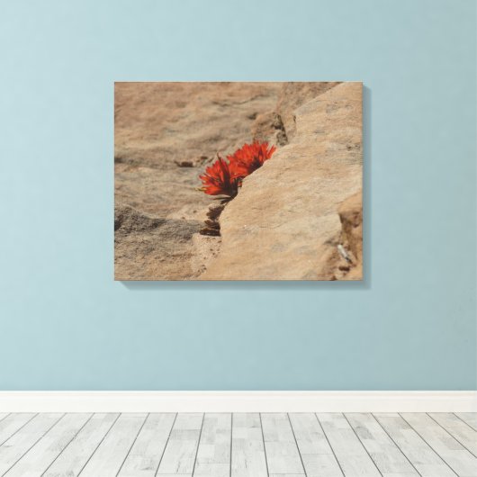 Indiaas penseel in Rocks bij Zion Canvas Afdruk (Insitu (Houten vloer))
