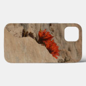 Indiaas penseel in Rocks bij Zion Case-Mate iPhone Case (Achterkant (horizontaal))