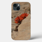 Indiaas penseel in Rocks bij Zion Case-Mate iPhone Case (Achterkant)