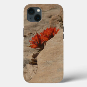 Indiaas penseel in Rocks bij Zion Case-Mate iPhone Case