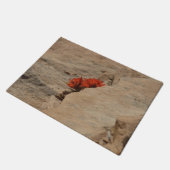 Indiaas penseel in Rocks bij Zion Deurmat (Schuin)