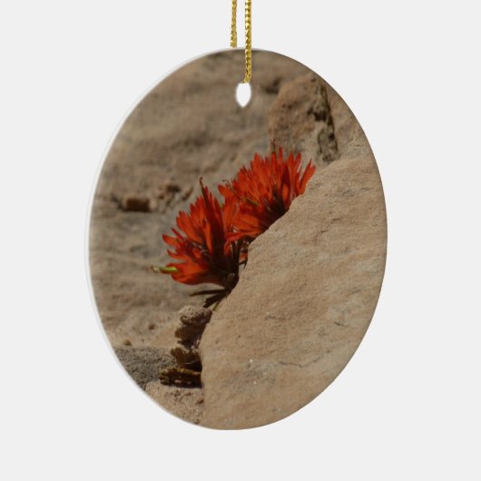 Indiaas penseel in Rocks bij Zion Keramisch Ornament (Rechts)