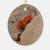 Indiaas penseel in Rocks bij Zion Keramisch Ornament (Links)