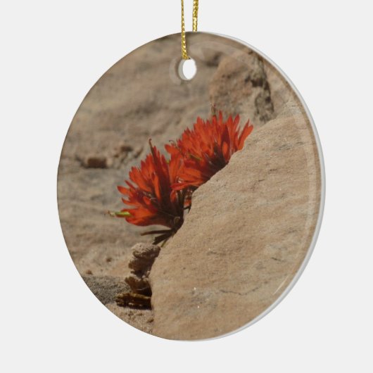 Indiaas penseel in Rocks bij Zion Keramisch Ornament (Links)