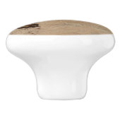 Indiaas penseel in Rocks bij Zion Keramische Knop (Zijkant)