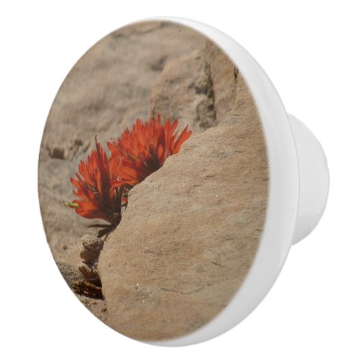 Indiaas penseel in Rocks bij Zion Keramische Knop (Rechts)